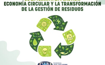 De la Teoría a la Práctica: Economía Circular y la Transformación de la Gestión de Residuos